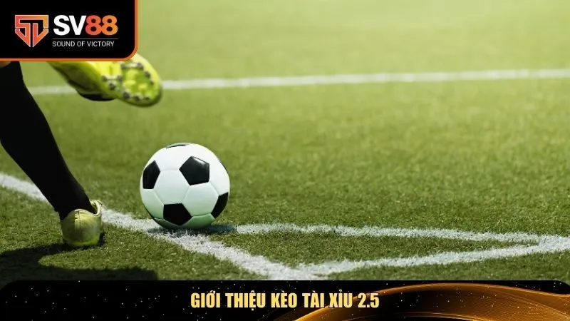 Giới thiệu kèo Tài Xỉu 2.5