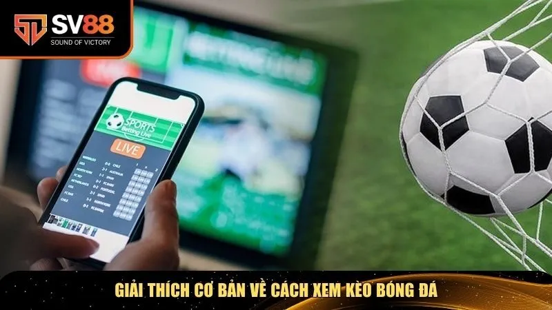 Giải thích cơ bản về cách xem kèo bóng đá